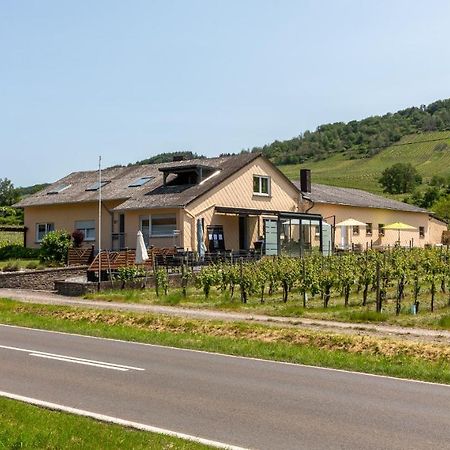 Weingut J. A. Meyer Bed and Breakfast Wintrich Εξωτερικό φωτογραφία