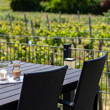 Weingut J. A. Meyer Bed and Breakfast Wintrich Εξωτερικό φωτογραφία