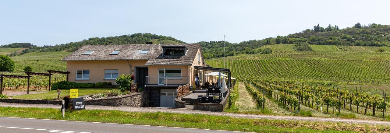 Weingut J. A. Meyer Bed and Breakfast Wintrich Εξωτερικό φωτογραφία